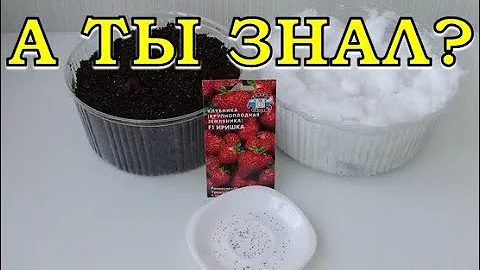 СТРАТИФИКАЦИЯ семян: какие, зачем, как и сколько?