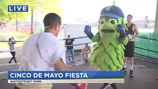 On the Go with Joe for Cinco de Mayo Fiesta