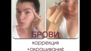 Коррекция бровей. Окрашивание. Коррекция бровей. Окрашивание.