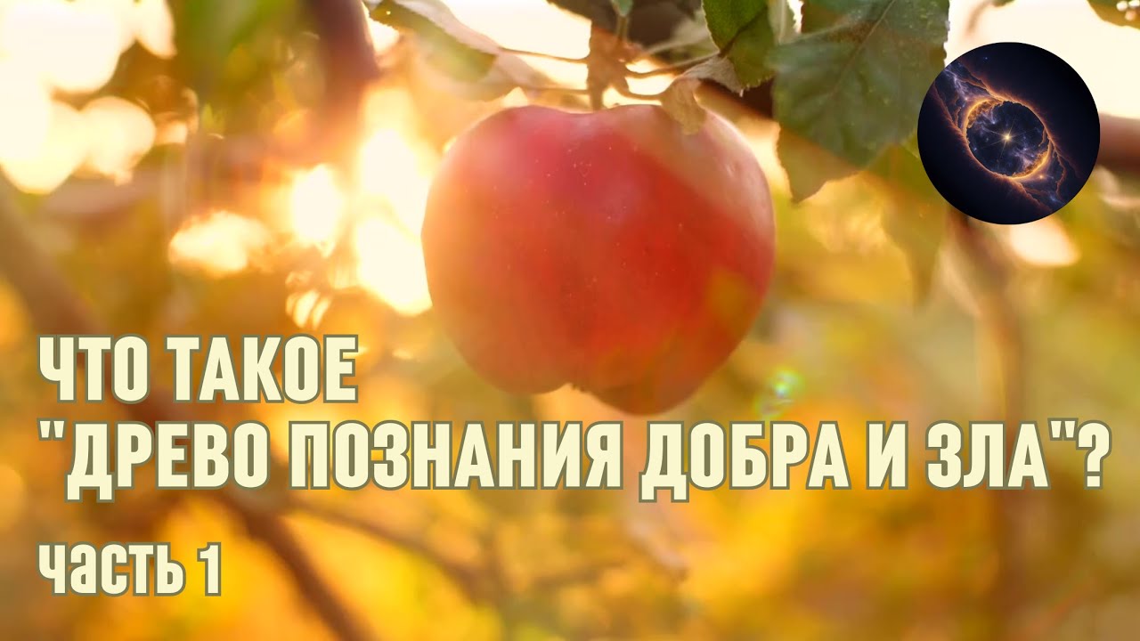 Что такое \"Древо познания Добра и Зла\"? Часть 1 - YouTube