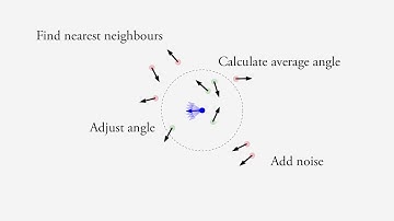 Active Matter: Modelling swarming behaviour using the Vicsek model