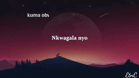Kuma obwesigwa by Dr Jose chameleon