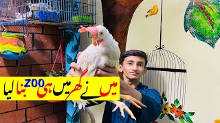 Ghar Me Zoo Introduction | ahmad and hasaan |