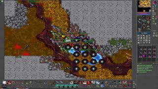 Tibia Carnera War ✖Tibia Escape✖ ★Dinastia Alliance vs New Order★