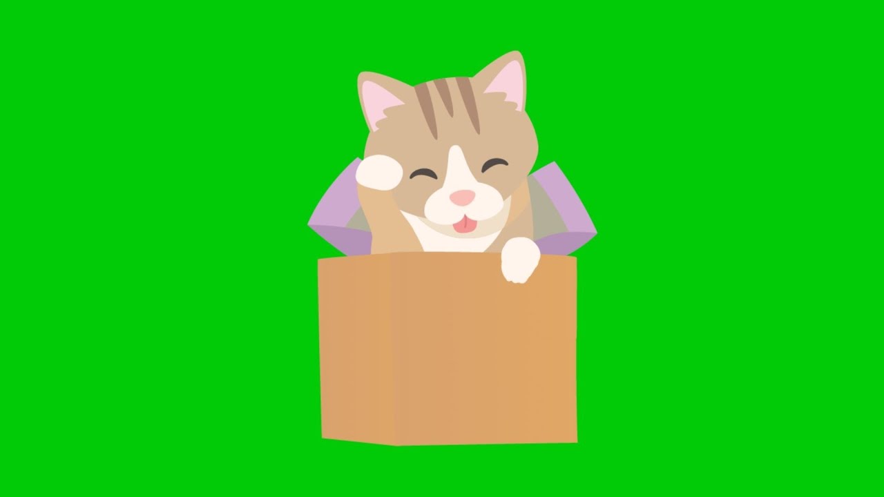 My Cute Pet Green Screen Stickers Video - YouTube