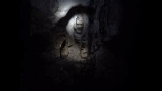 Temple of elemental evil video8