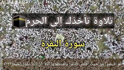 الْحَجُّ أَشْهُرٌ مَّعْلُومَاتٌ | تلاوة ستجعلك تشتاق إلى الحرم🕋