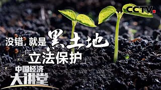 《黑土地保护法》经历了怎样的立法过程？它如何助力我们将饭碗牢牢端在自己手里？「中国经济大讲堂」 20221204 | CCTV财经