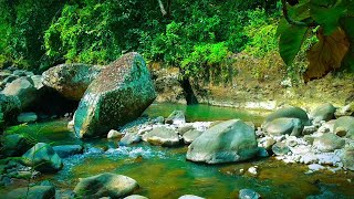 Relaxing River Sounds Relaxing Music Relaxing Nature Video forest sounds for sleeping