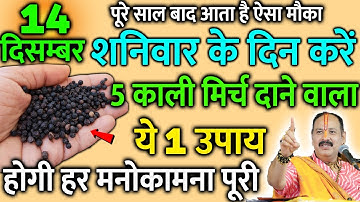 14 दिसंबर शनिवार चतुर्दशी तिथि के दिन 5 काली मिर्च के दाने वाला उपाय जरूर करें || Pradeep Ji Mishra