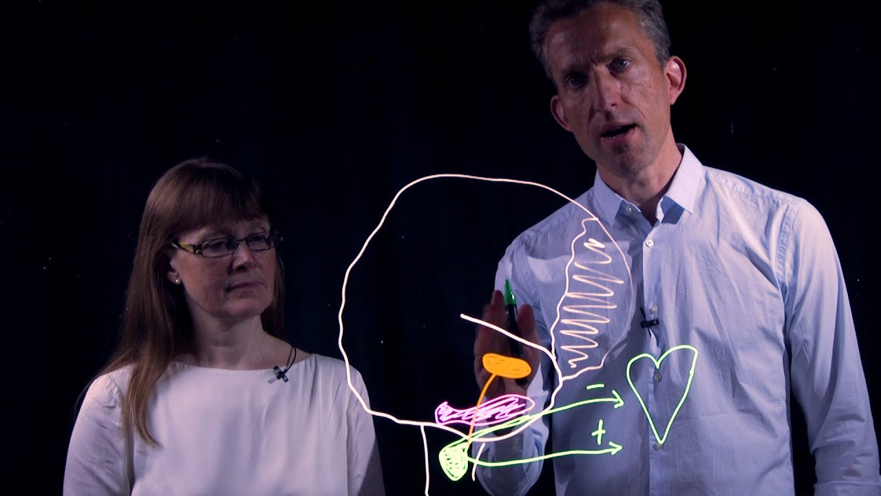 Fysiologiska mekanismer bakom funktionell beteendeanalys – SORKK