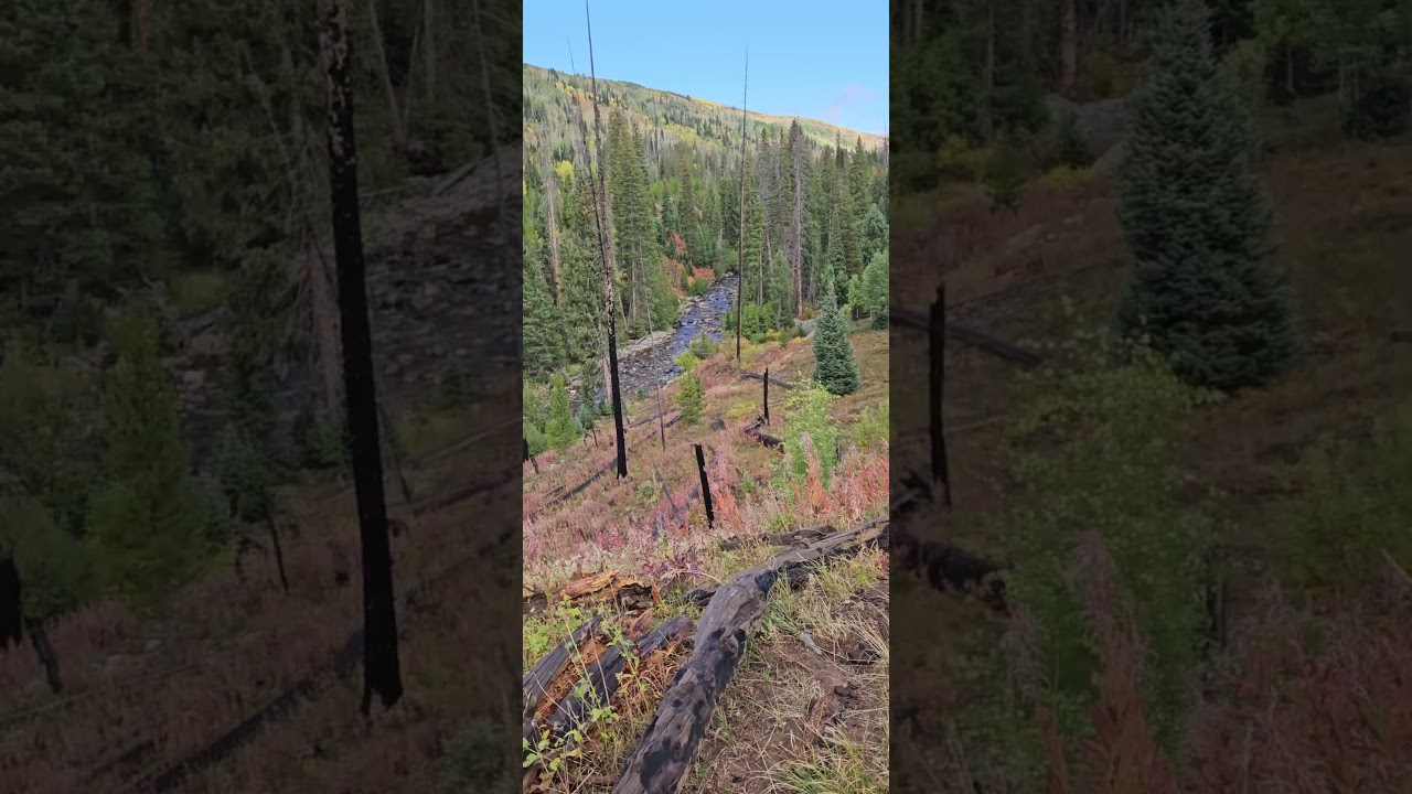 North Fork Elk River on the continental divide trail near Steamboat Springs