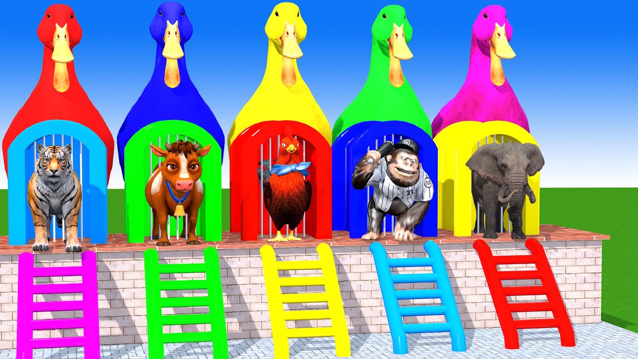 Long Slide Game With Cow Elephant Gorilla Hippopotamus Tiger 3d Animal Game Funny 3d Animals