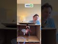 Guessing mystery objects