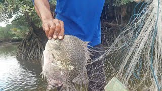 MEMANCING & MENJALA, BERBAGAI MACAM JENIS IKAN DI MUARA BEBANIR MASIH GACORRR, Berau-Kaltim