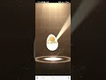 Egg Hatches