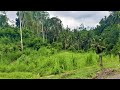 Bali Indonesia - Junge &amp; Villages