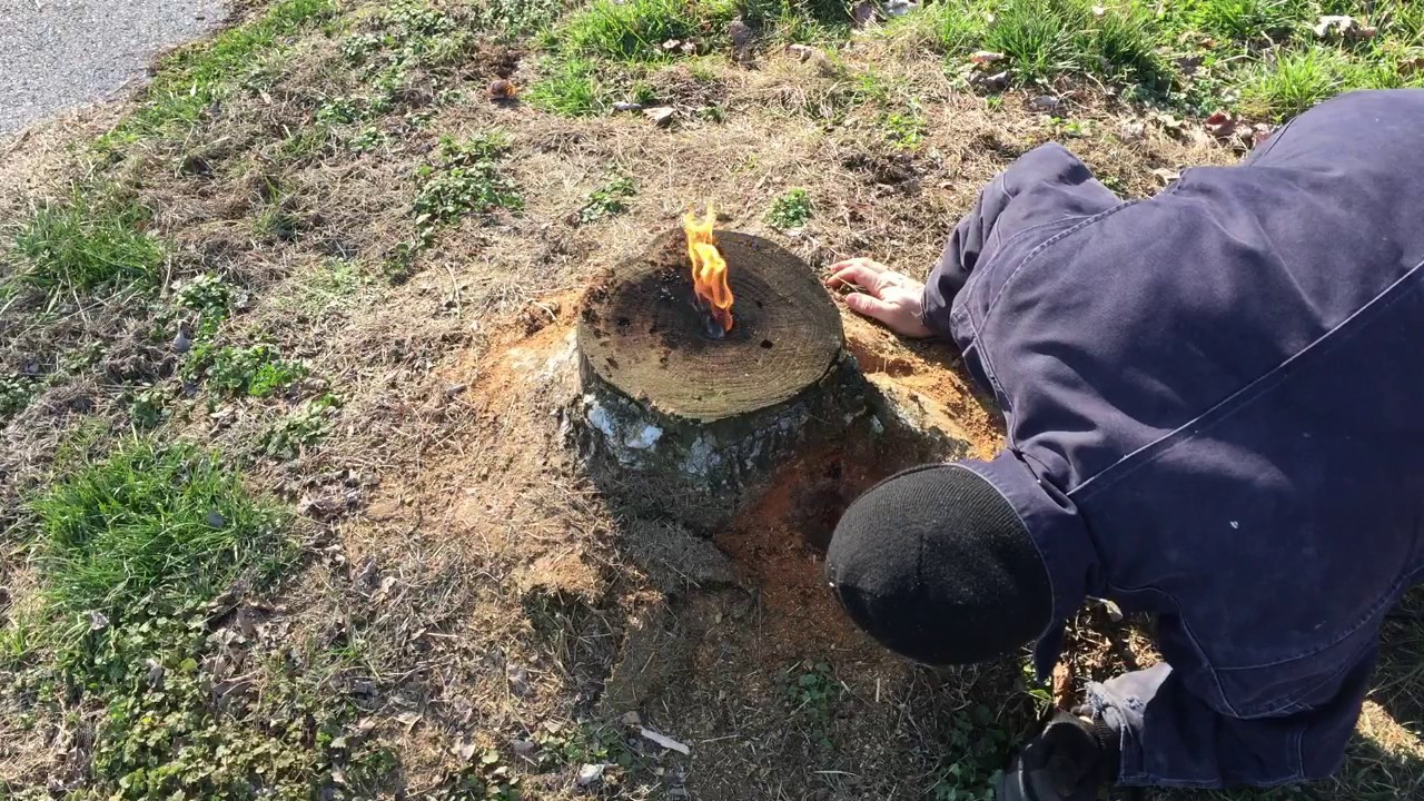 Tree And Stump Removal