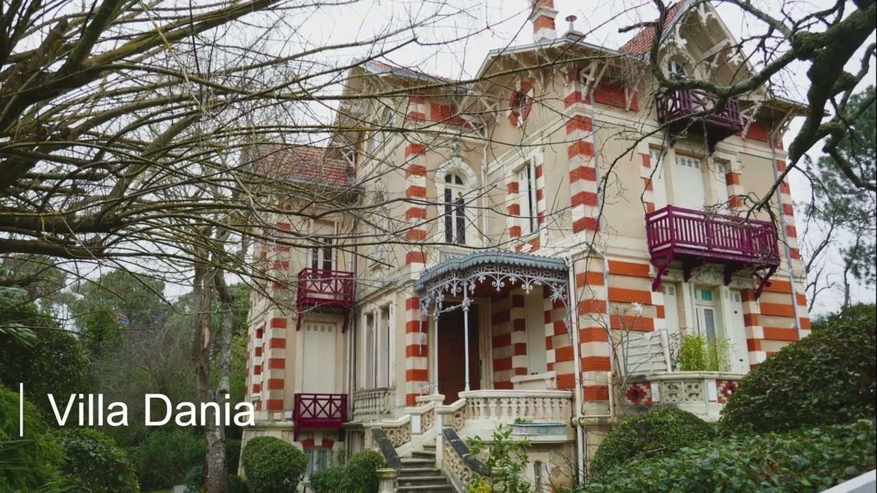 Abatilles   Arcachon 08 02 2024