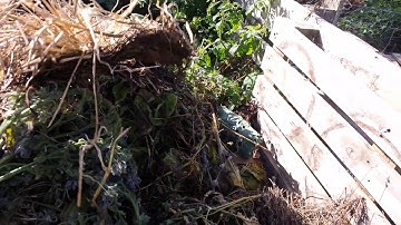 Straw Bale Garden Composting