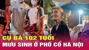 Xót xa cụ bà 102 tuổi ngày đêm bám trụ mưu sinh ở phố cổ Hà Nội cùng đàn chó cưng | THVN