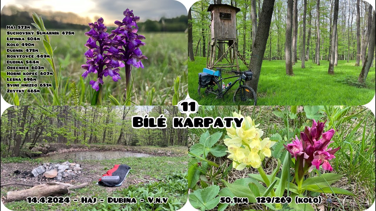 Bílé Karpaty 11 (14.4.2024) Háj-Dubina-V.n.Veličkou