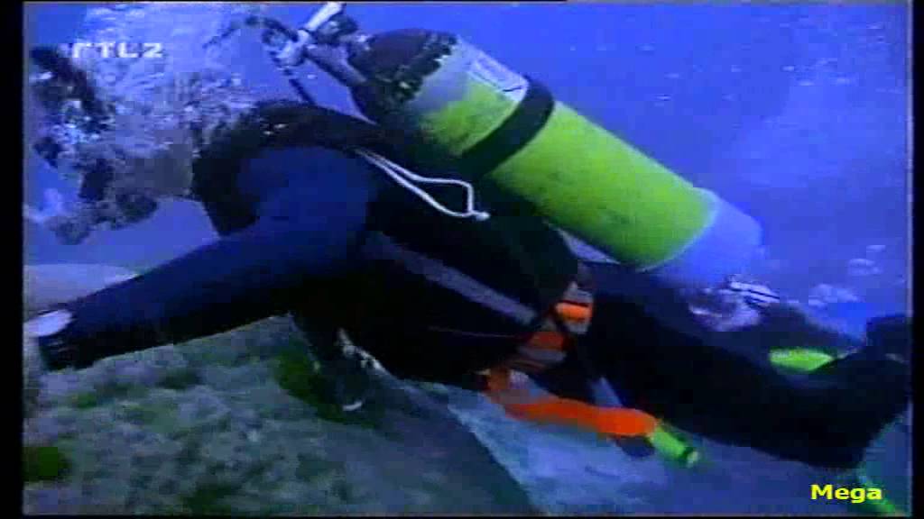 New Flipper - YouTube