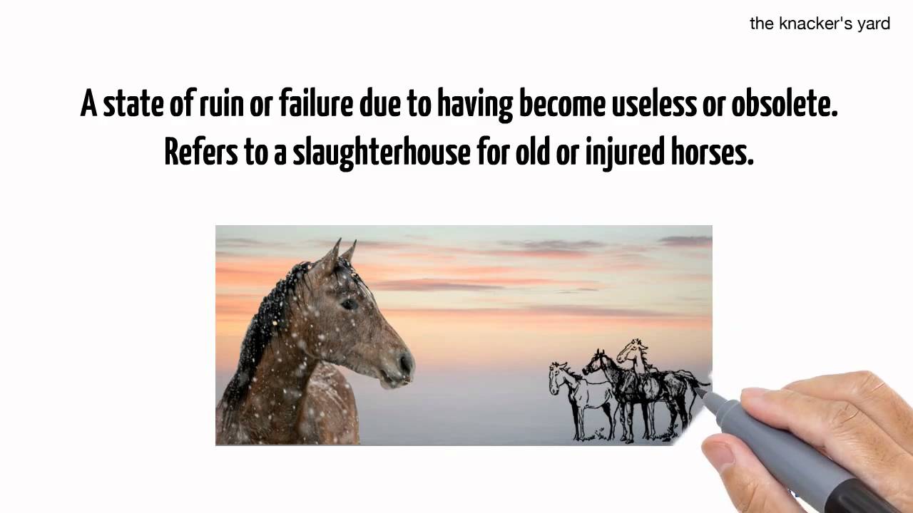 the knacker's yard YouTube