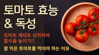 토마토 효능 및 부작용, 토마토 독성 없이 건강하게 먹는 법