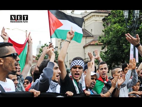 Torino - manifestazione per la Palestina. NET