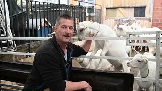 Stephan Reiser Und Hans Schenkel Vo Puur Zu Puur 2024 Trailer