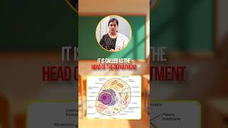 Cell Membrane Explained 🧫 | Cell Structure Quick Revision for Nursing Students #shorts
