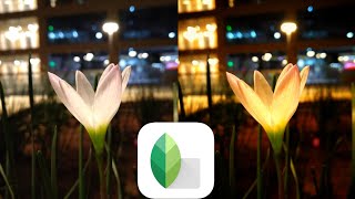 Snapseed Edit || Snapseed Tutorial || Snapseed Flower Edit screenshot 4