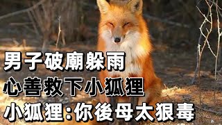 民間故事：男子破廟躲雨，心善救下小狐狸，小狐狸:你後母太狠毒 | 小凡故事