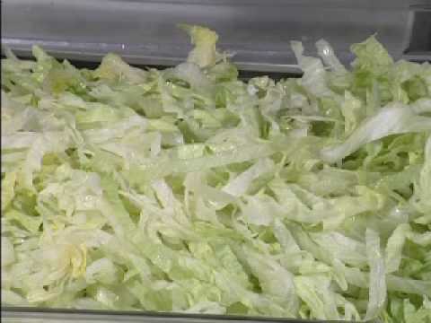 Industrial Food Processor - IFP-5000 (Lettuce Cutting) -  CharliesMachineandSupply.com 