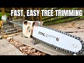 Gas Pole Saw Demonstration | The Tree Trimming Tool You Didn’t Know You Needed