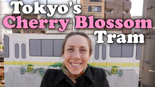 Tokyo's Cherry Blossom Tram