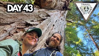 Day 43| Deep Into the California Redwoods |     Exploring Jedediah Smith Redwoods