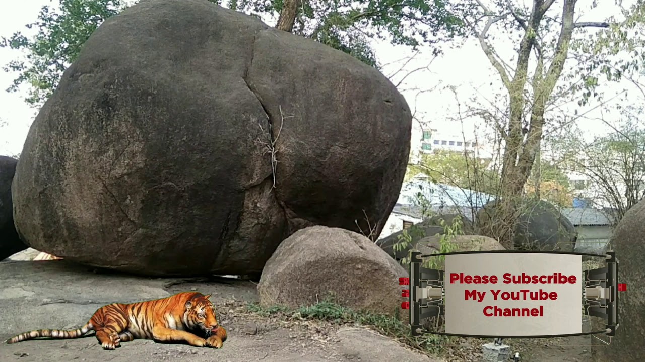 High Jumping with Lion KINEMASTER EDITING 