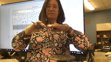 Osmosis Egg Lab Day 4 Final