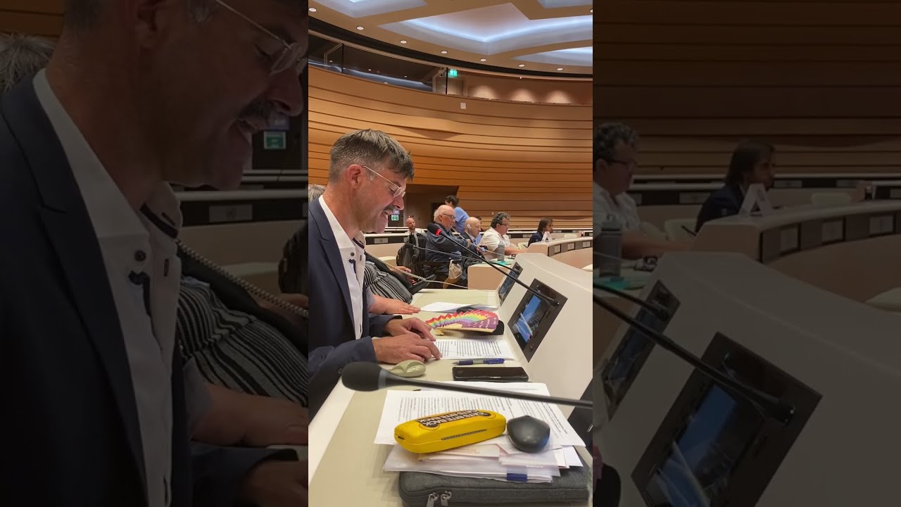 Opening Statement des Monitoringausschuss - Staatenprüfung 2023