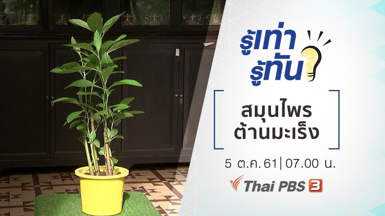 รู้เท่ารู้ทัน : สมุนไพร ต้านมะเร็ง (7 ต.ค. 61) | อาหาร ยับยั้ง มะเร็งข้อมูลที่เกี่ยวข้องล่าสุด