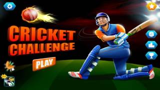 Cricket Challenge T20 - 2016 screenshot 2