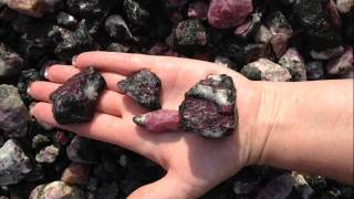 Sapphire and Ruby 'AAA' Grade Rough - 1 Pound Lot | Lapidary for Cabbing; ruby rough stone