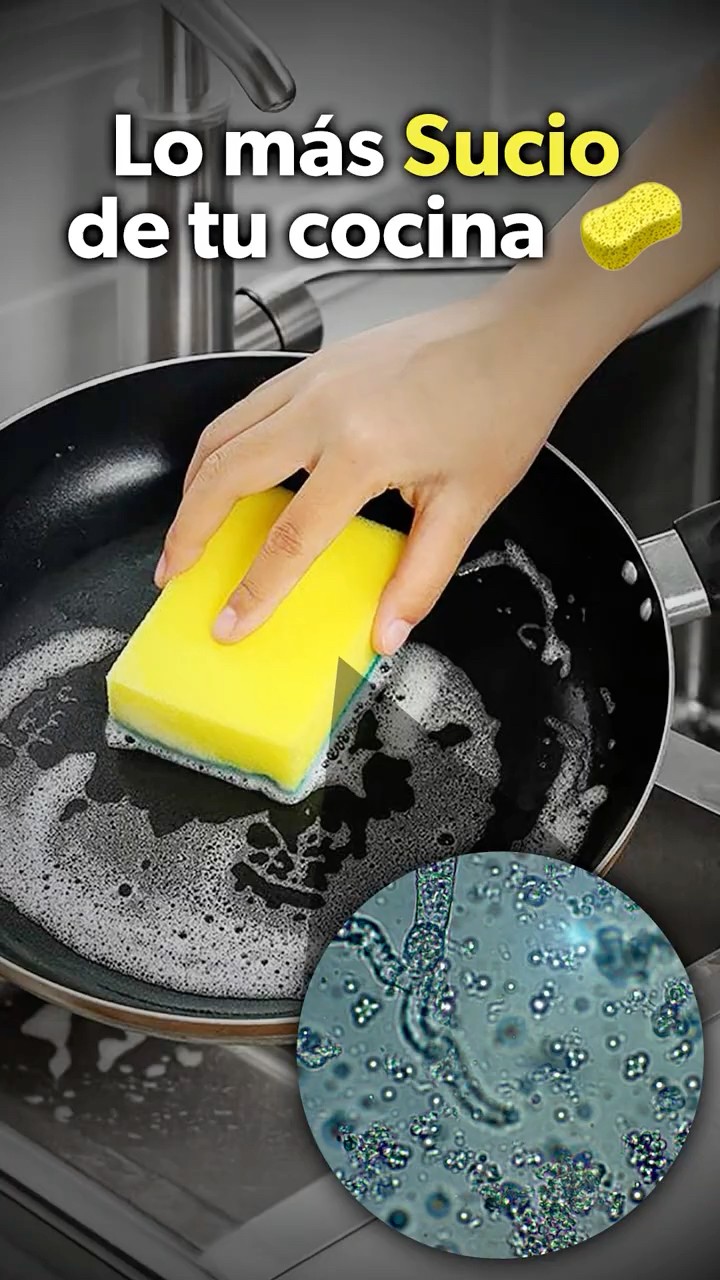 Si tienes esto en tu cocina, podrías estar enfermándote sin darte cuenta @PaoCastilloOf