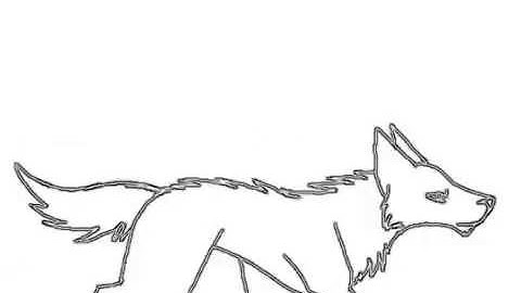 Wolf Run Cycle (my first animation!)