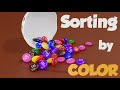 Sorting Objects Quiz