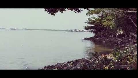 Điểm câu cá Cần Giờ | Địa điểm bờ kè xã Bình Khánh Cần Giờ | Sông Nước Cần Giờ - Châu Huỳnh.