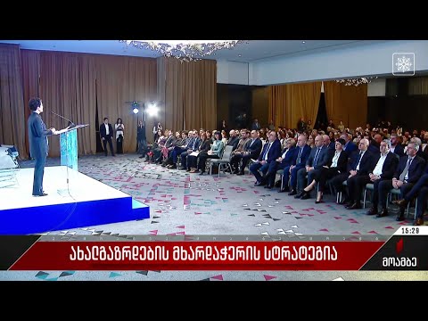 ახალგაზრდების მხარდაჭერის სტრატეგია