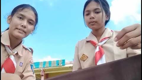 GIVING AND DEFENDING OPINIONS